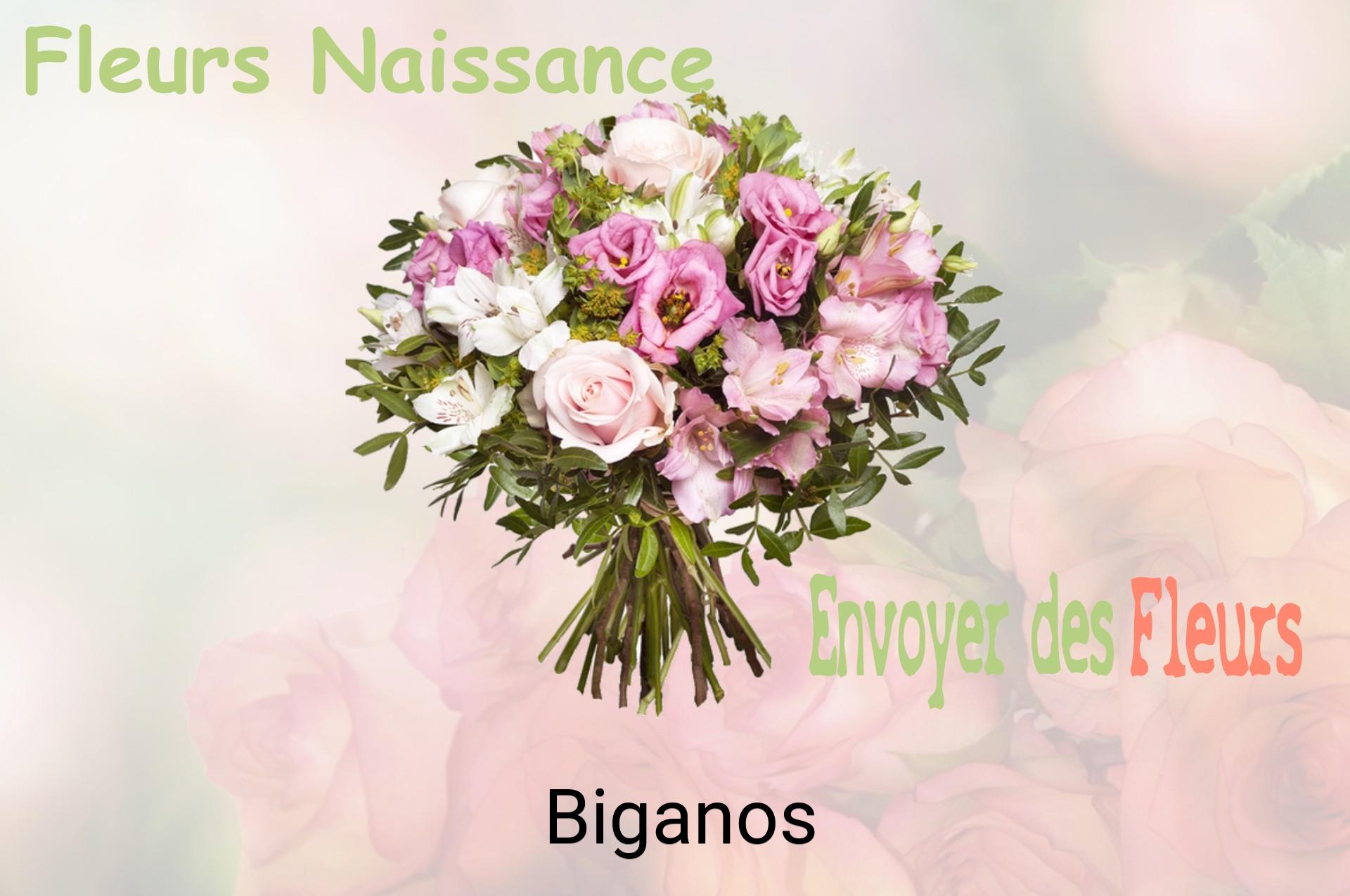 Bouquet de fleurs de naissance livré à Biganos