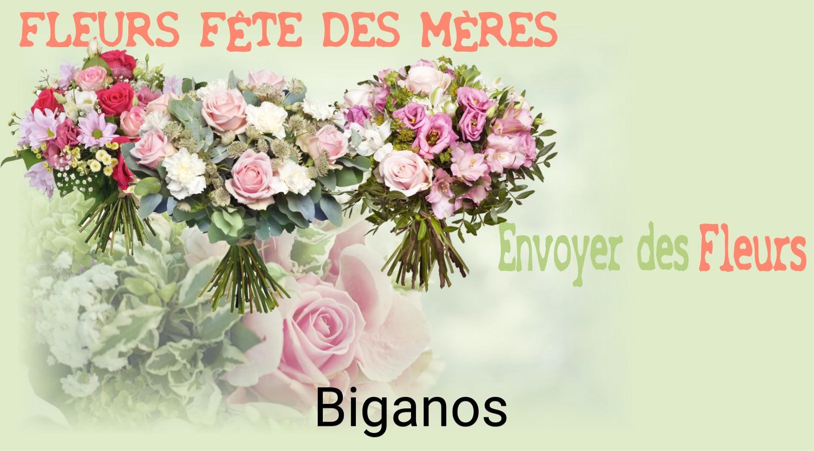 Bouquet de Fête des Mères livré à Biganos